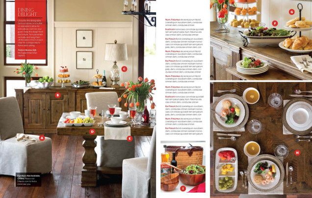 Southern Living for Dillards Home Collection 2015 Catalog